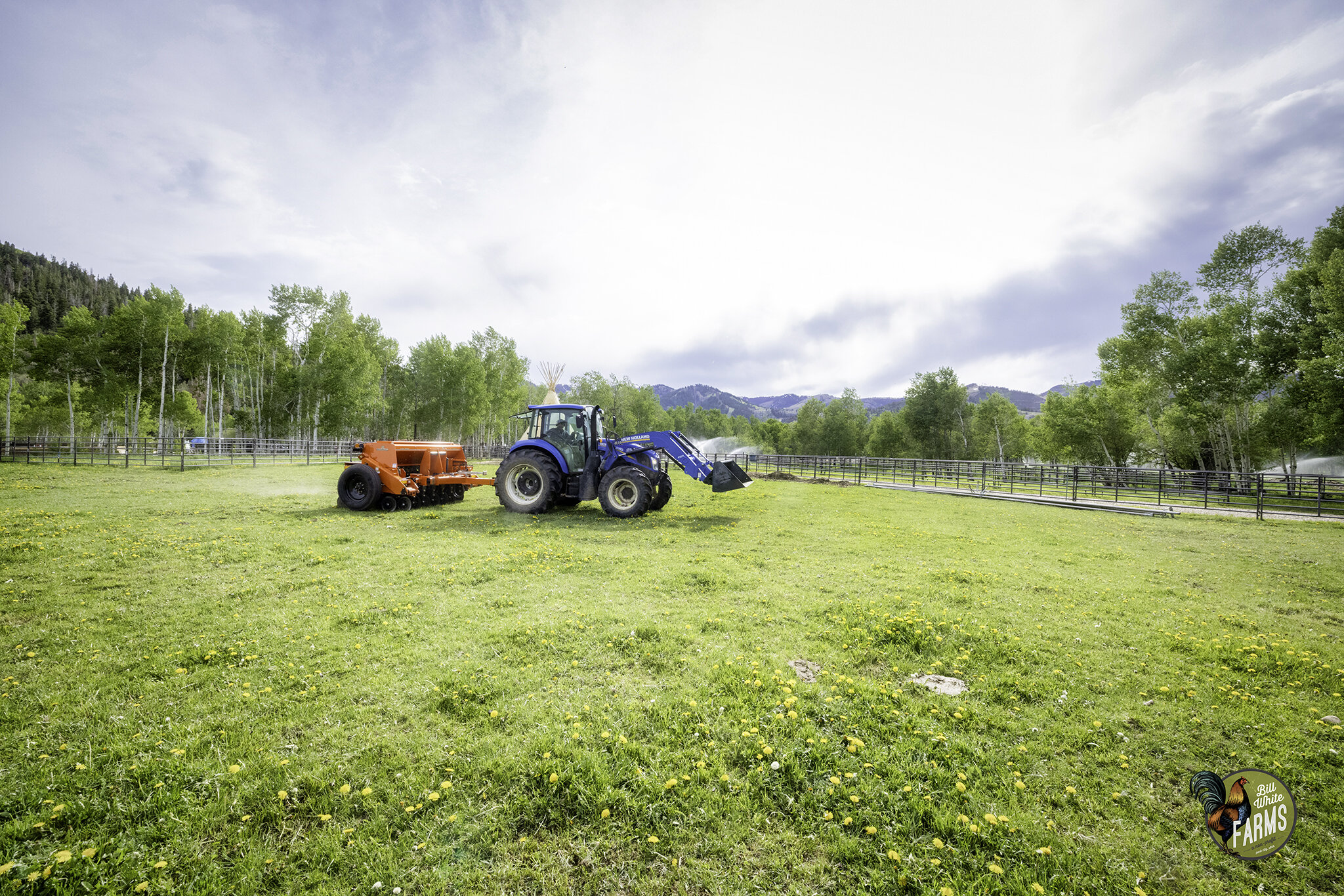 Seeder7-web.jpg